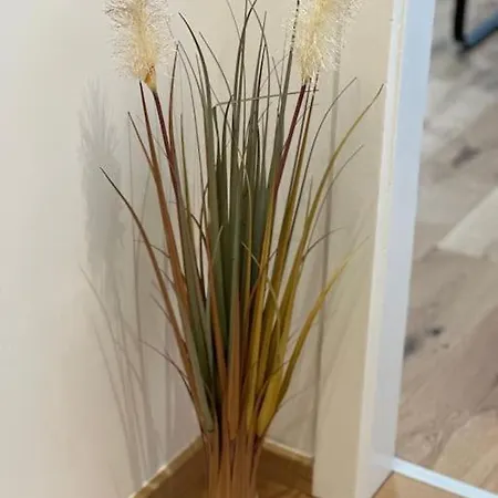 Appartement In Innenstadtlage