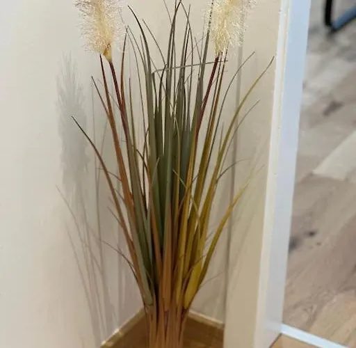 Apartamento In Innenstadtlage